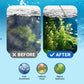 🔥Hot Sale🔥100ml Powerful Aquarium Water Clarifier